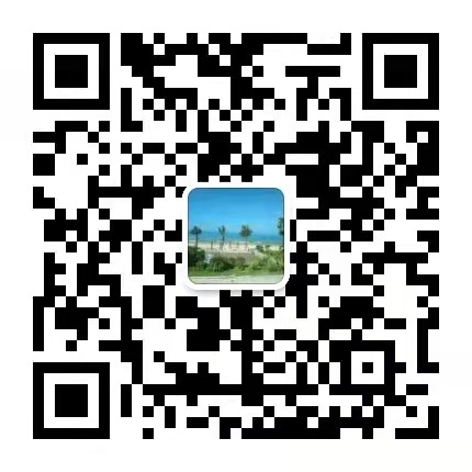 the qr code